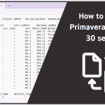 How to convert Primavera version in 30 seconds