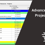Advanced Payment Project Sample