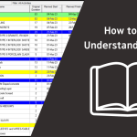 How to read and understand Primavera Schedules