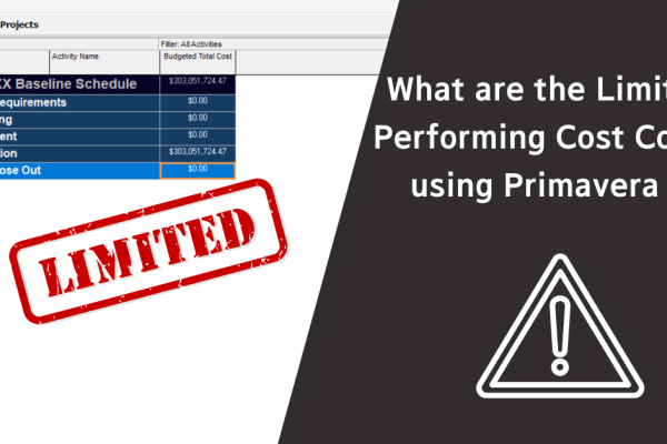 What are the Limits of Performing Cost Control using Primavera P6