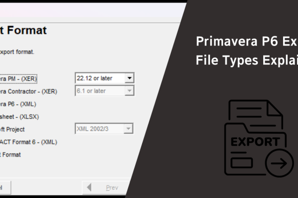 Primavera P6 Export File Types Explained